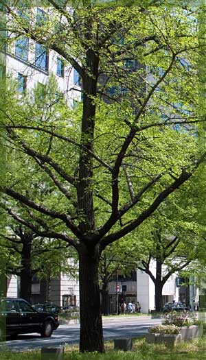 桂友不動産について